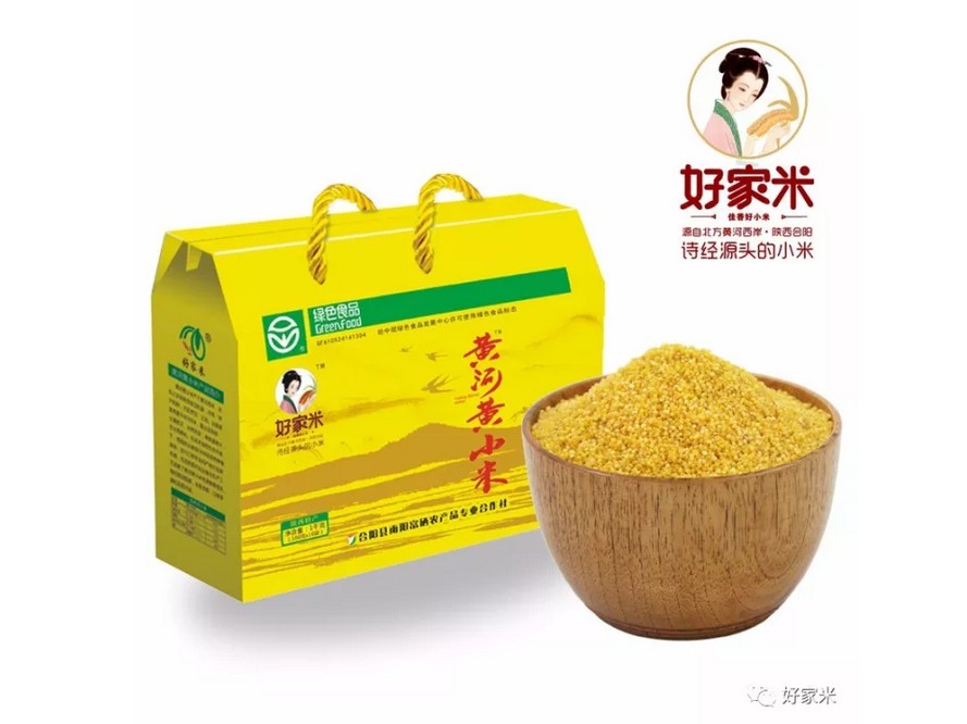 好家米新品――黄河黄小米系列