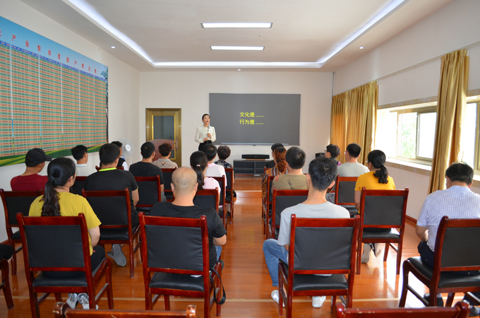 雨阳公司组织开展专题业务培训